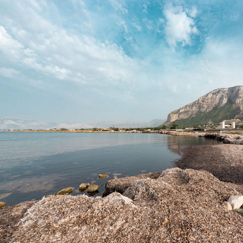 vista mare vergine maria palermo